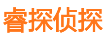 连平侦探